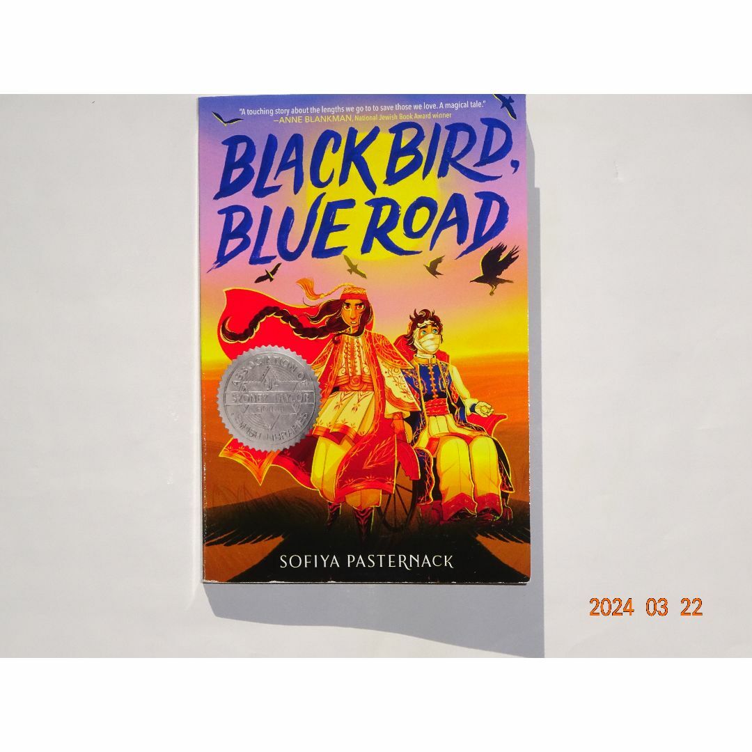 Black Bird Blue Road エンタメ/ホビーの本(洋書)の商品写真