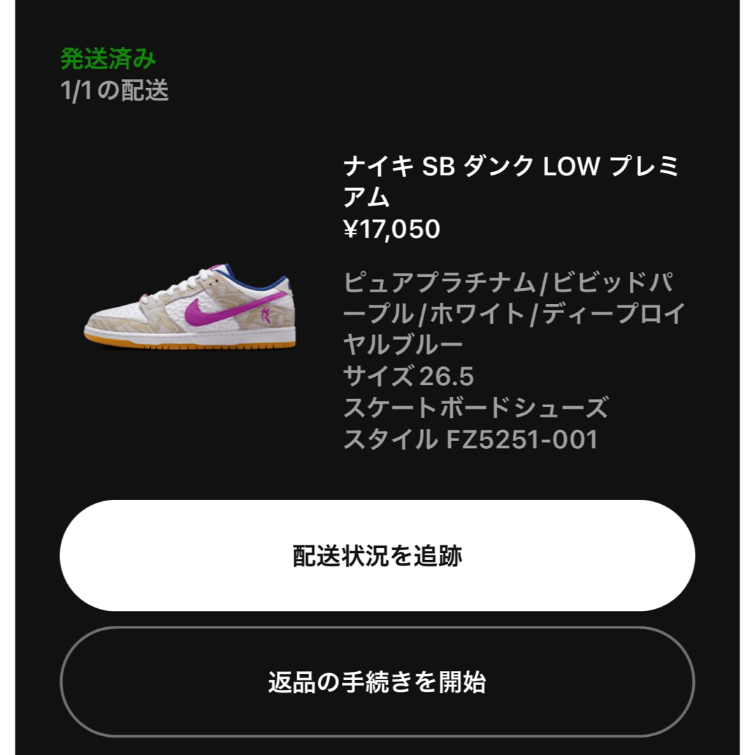 NIKE(ナイキ)のRayssa Leal Nike SB Dunk ライッサレアウ　ナイキ メンズの靴/シューズ(スニーカー)の商品写真