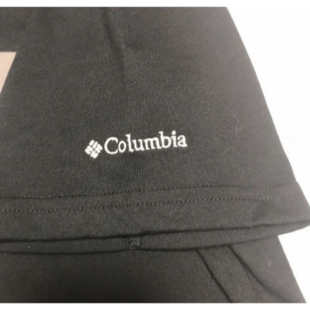 Columbia(コロンビア)の送料無料 新品 Columbia コロンビア ウィリアムスクリークS/S TEE メンズのトップス(Tシャツ/カットソー(半袖/袖なし))の商品写真