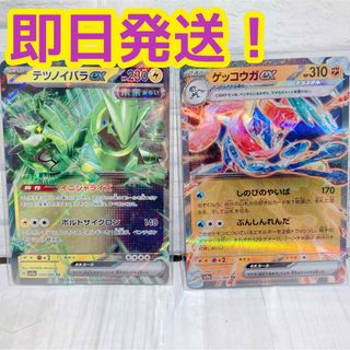 ポケモン(ポケモン)のポケモンカード クリムゾンヘイズ テツノイバラex ＆ ゲッコウガex RR(シングルカード)