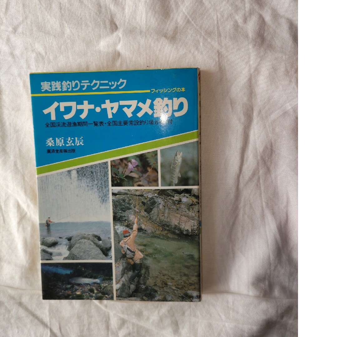 実践釣りテクニック イワナ ヤマメ釣り エンタメ/ホビーの本(趣味/スポーツ/実用)の商品写真