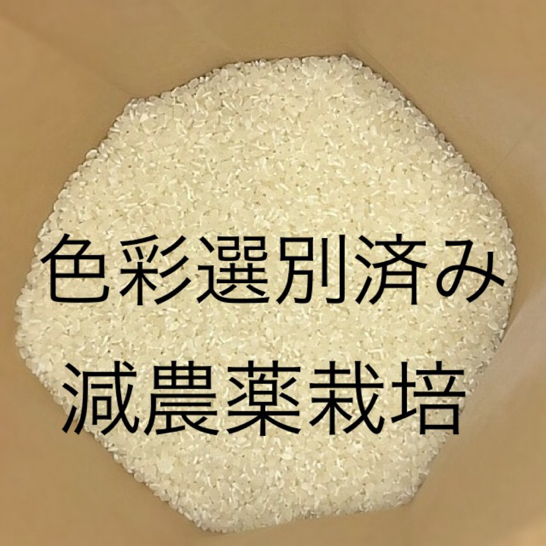 農家直送 おいしい お米  三重県産コシヒカリ 　15kg 食品/飲料/酒の食品(米/穀物)の商品写真