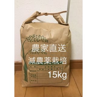 農家直送 おいしい お米  三重県産コシヒカリ 　15kg(米/穀物)