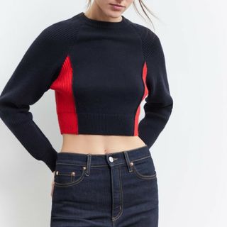 ザラ(ZARA)の【ZARA 】カラーブロックニットクロップドセーター(ニット/セーター)