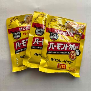 ハウス食品 - ハウス食品 ４５ｇ味付カレーパウダー　バーモントカレー味袋入り　3袋