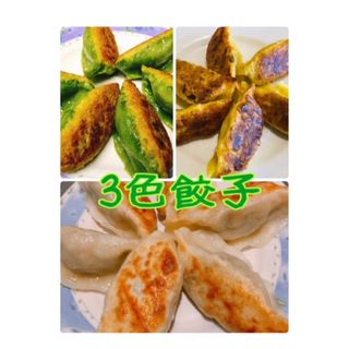 3色餃子　白・緑・黄色　皮もちもち中ジューシー　無添加手作り(野菜)