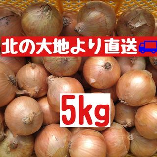 淡路島産玉ねぎ苗50本送料無料の通販 by RH｜ラクマ