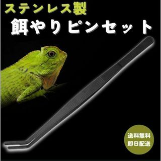 爬虫類ピンセット 餌やり・メンテナンス用 掴みやすいステンレス製(爬虫類/両生類用品)