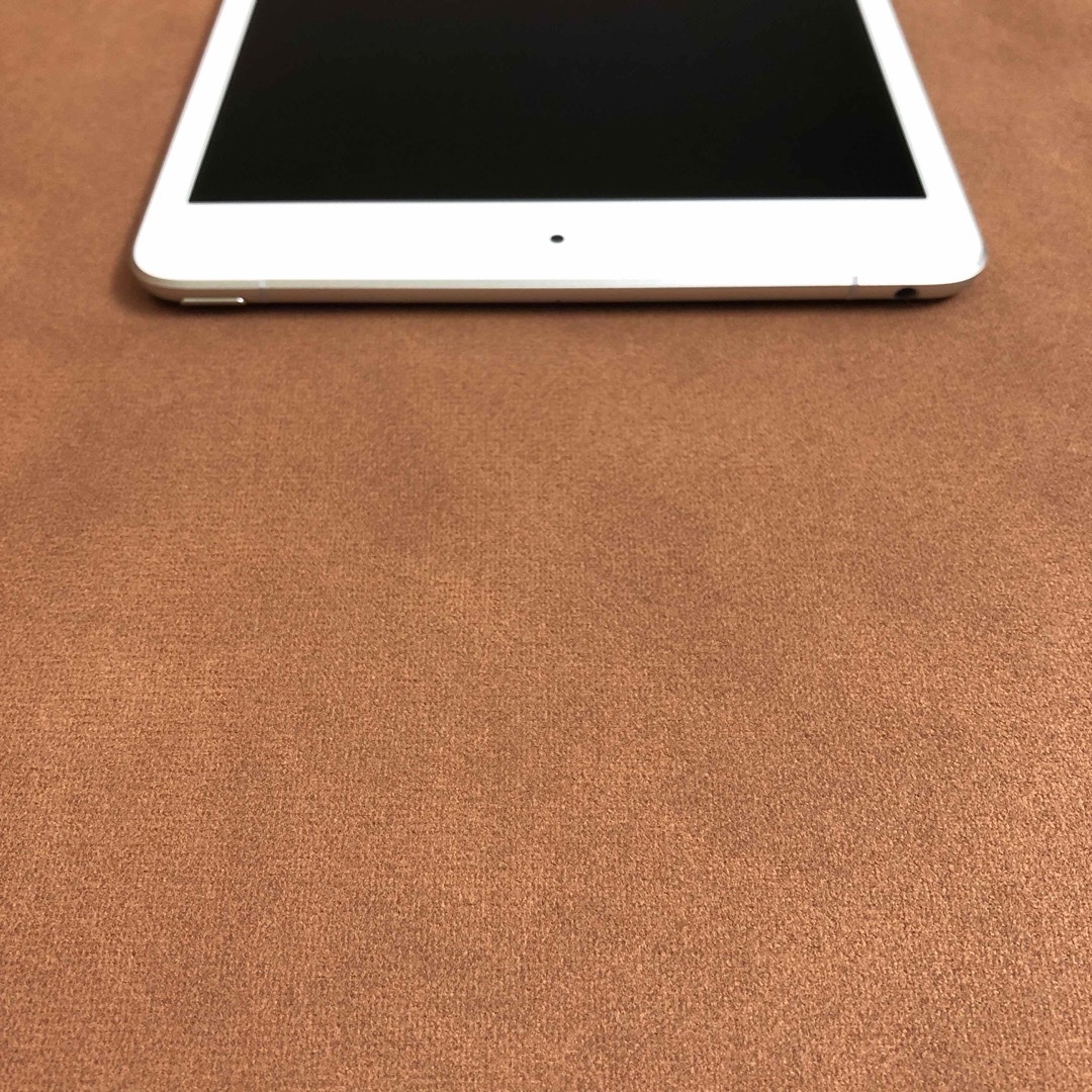 iPad(アイパッド)の7316 美品 iPad mini5 第5世代 256GB SIMフリー スマホ/家電/カメラのPC/タブレット(タブレット)の商品写真