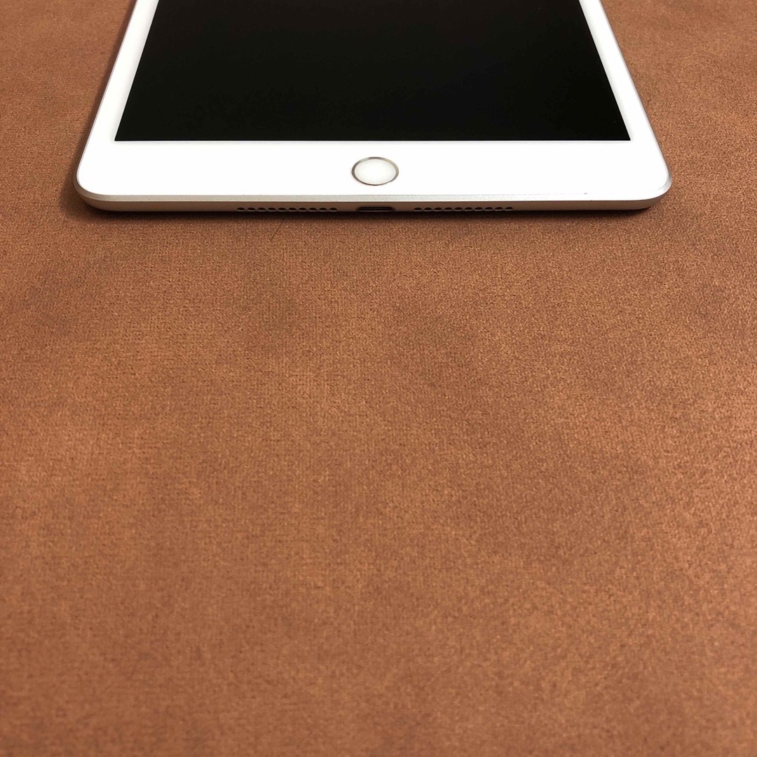 iPad(アイパッド)の7316 美品 iPad mini5 第5世代 256GB SIMフリー スマホ/家電/カメラのPC/タブレット(タブレット)の商品写真