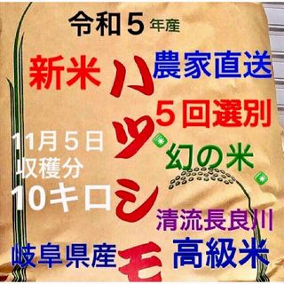 ✳️令和５年産✳️５回色彩選別・有機肥料・送料無料ハツシモ10キロ(米/穀物)