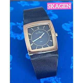 SKAGEN - SKAGEN スカーゲン 腕時計