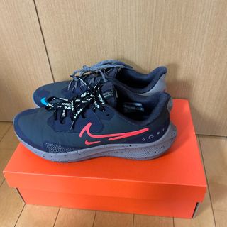 ナイキ(NIKE)のペガサス39 シールド(シューズ)