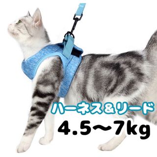 軽量シンプル 猫用ハーネス & リード ネコ 小型犬にも やわらか 水色 L(猫)