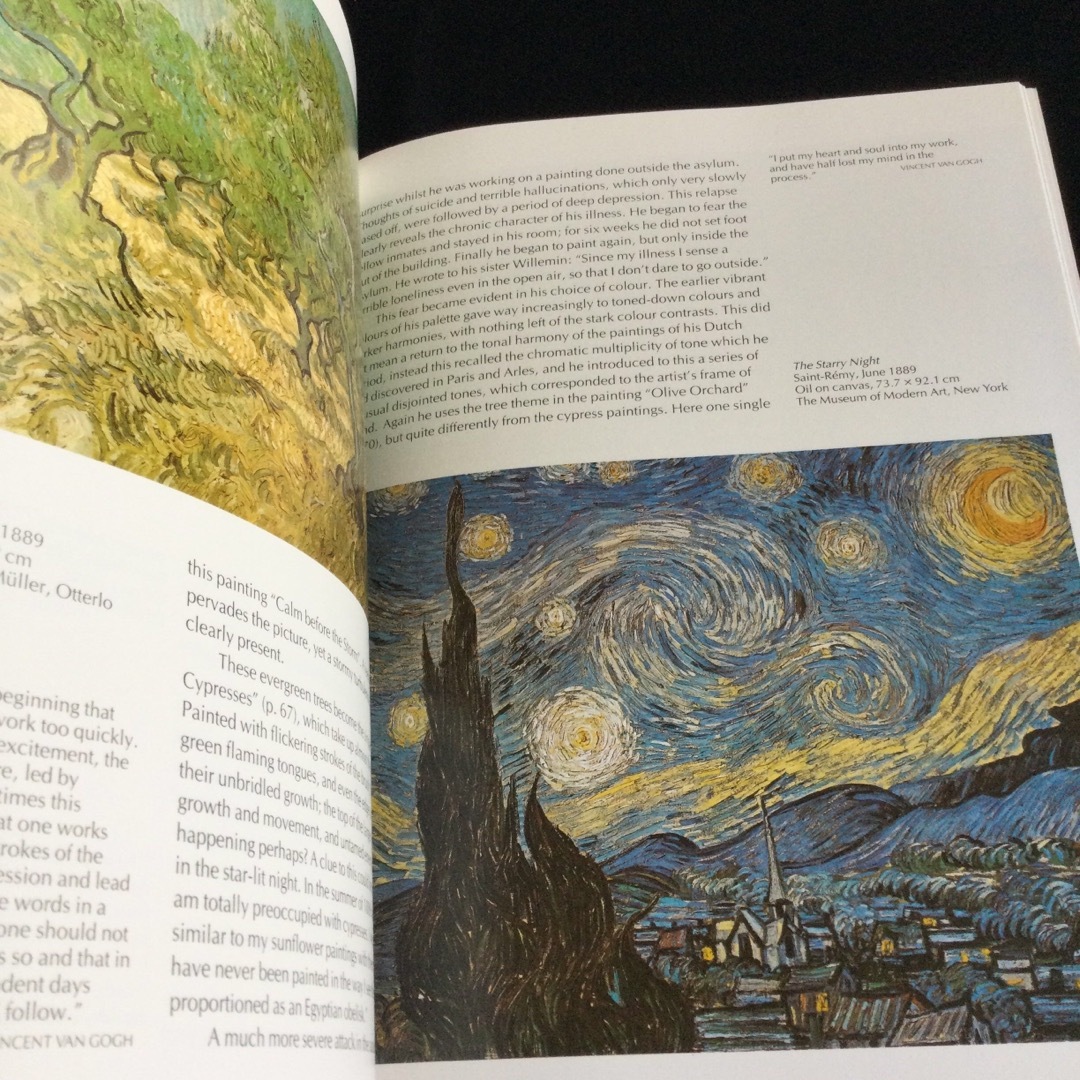 タッシェン  ゴッホ 画集 洋書 Taschen VAN GOGH 作品集　英語 エンタメ/ホビーの本(洋書)の商品写真