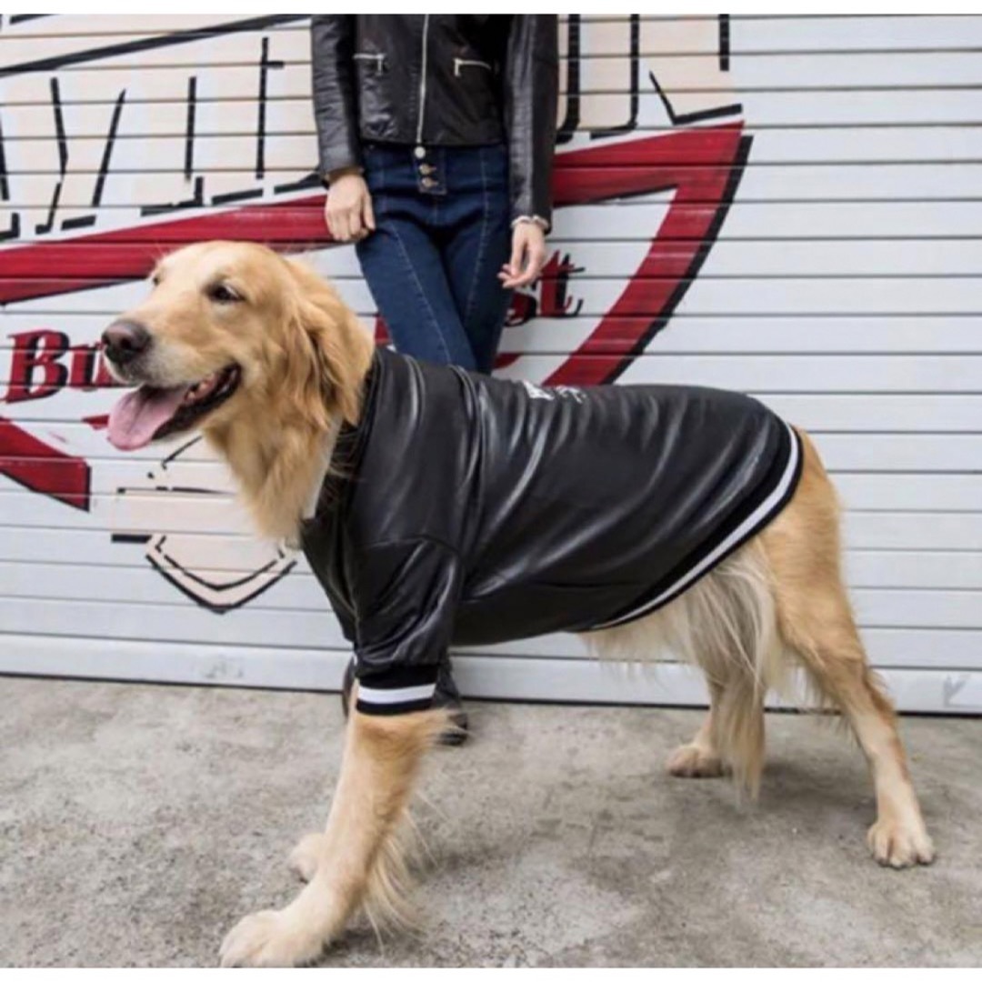 【ペット用】大型犬用 カッコいい ライターズ 皮ジャケット 4XL その他のペット用品(犬)の商品写真
