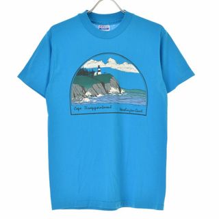 【HANE'S】80s Washington Coast 風景画半袖Tシャツ(Tシャツ/カットソー(半袖/袖なし))