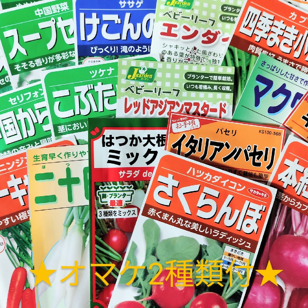 ⭐レア野菜のタネ４種類⭐カーボロネロ、カリーノケール等⭐オマケ2種類付★合計6種 食品/飲料/酒の食品(野菜)の商品写真