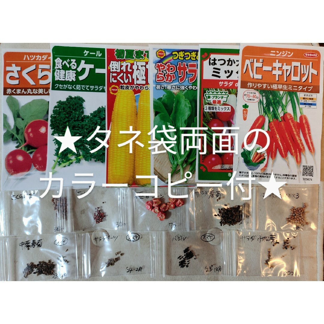 ⭐レア野菜のタネ４種類⭐カーボロネロ、カリーノケール等⭐オマケ2種類付★合計6種 食品/飲料/酒の食品(野菜)の商品写真