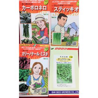 ⭐レア野菜のタネ４種類⭐カーボロネロ、カリーノケール等⭐オマケ2種類付★合計6種(野菜)