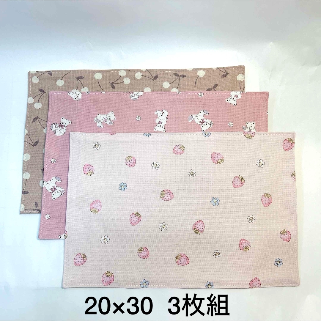 ランチョンマット　20×30  3枚組　♡ニュアンスカラー♡  No.1074 ハンドメイドのキッズ/ベビー(外出用品)の商品写真