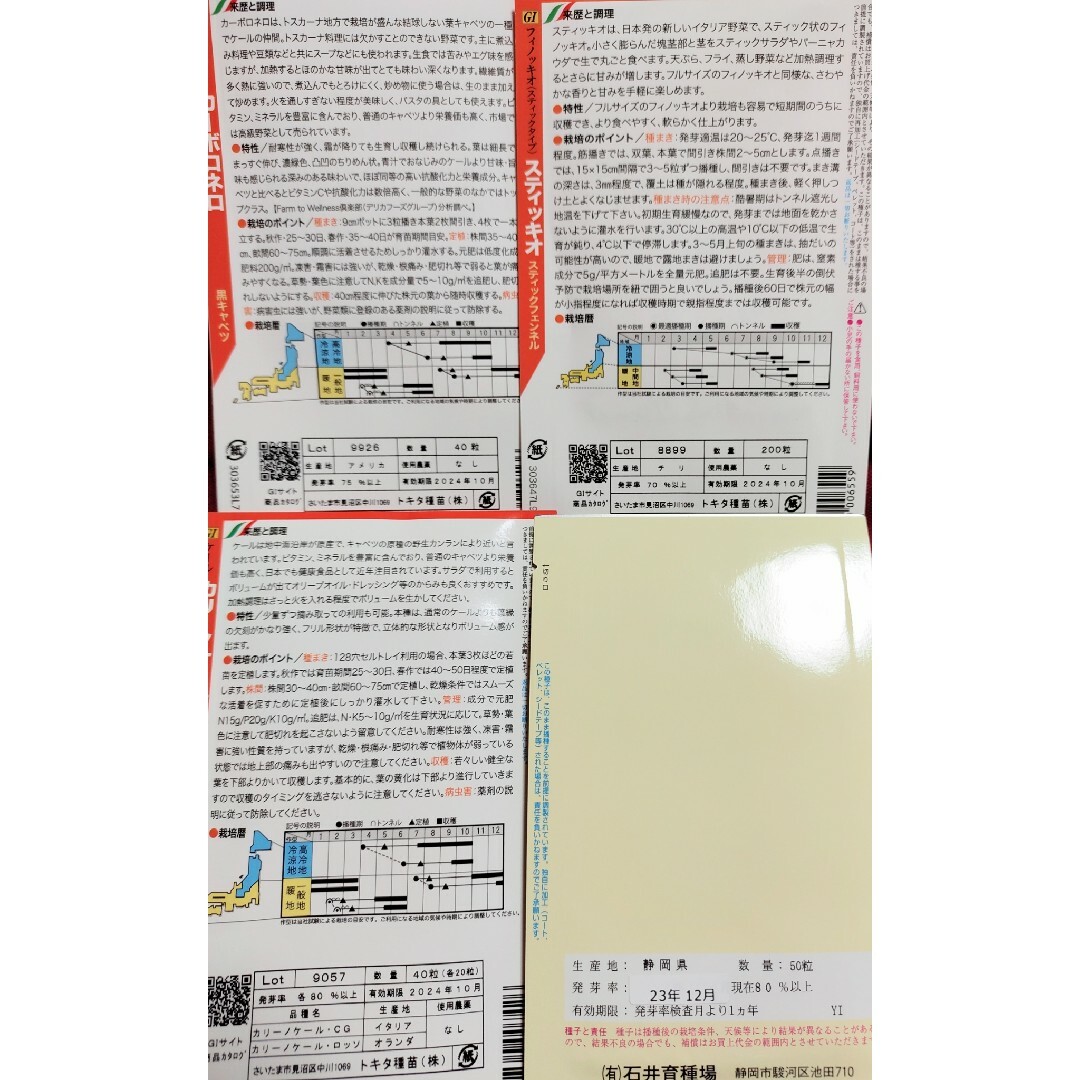 ⭐レア野菜のタネ４種類⭐カーボロネロ、スティッキオ等⭐オマケ2種類付★合計6種類 食品/飲料/酒の食品(野菜)の商品写真