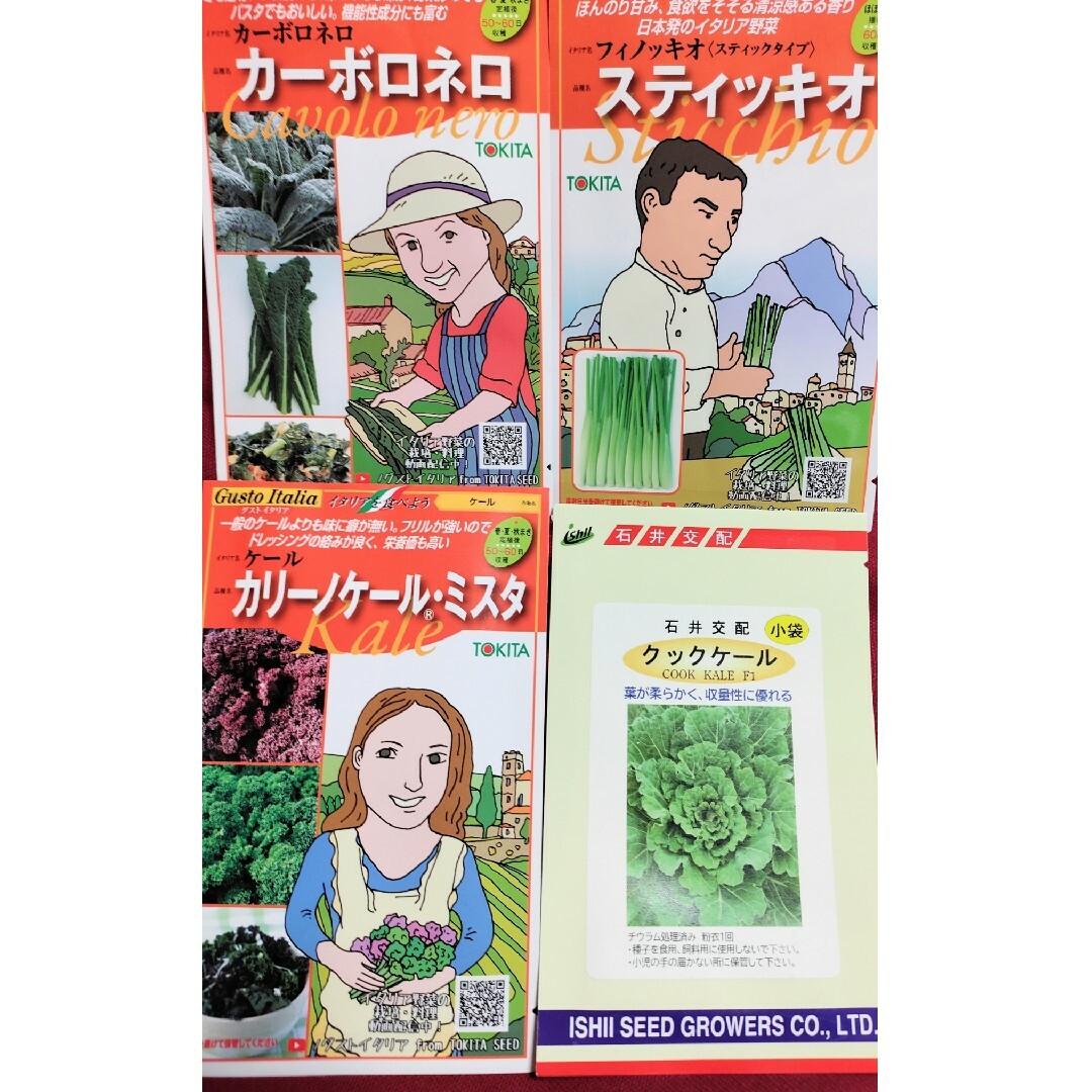 ⭐レア野菜のタネ４種類⭐カーボロネロ、スティッキオ等⭐オマケ2種類付★合計6種類 食品/飲料/酒の食品(野菜)の商品写真