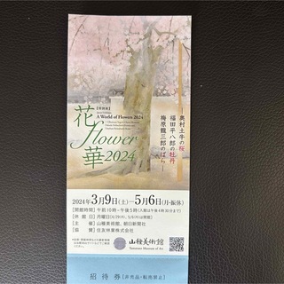 花flower華2024 山種美術館　招待券　3月9日～5月6日(美術館/博物館)