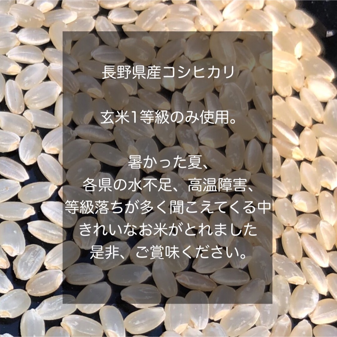 【令和5年産】長野県コシヒカリ30キロ白米  食品/飲料/酒の食品(米/穀物)の商品写真