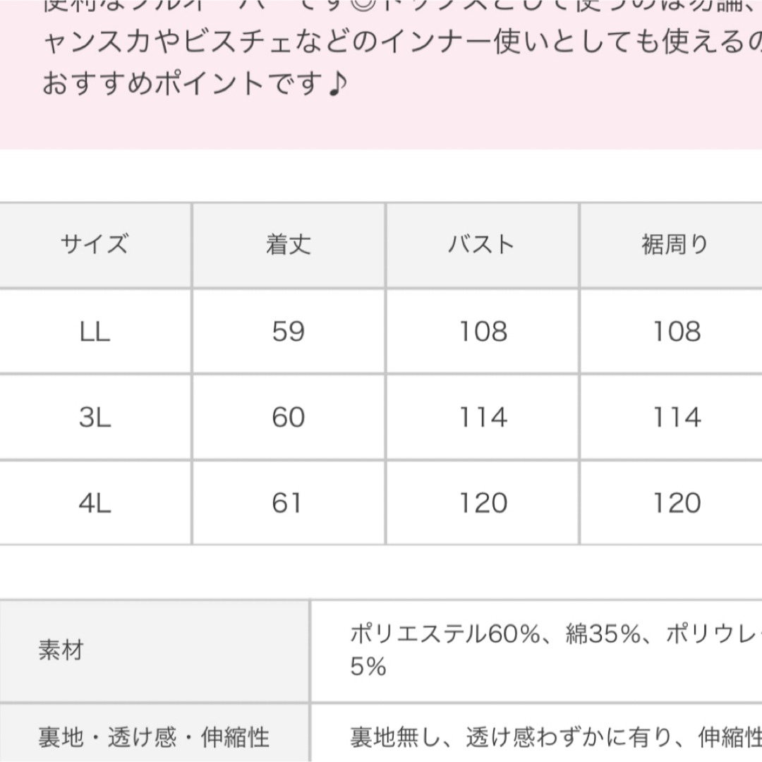 clette(クレット)のclette ボートネックリブプルオーバー 3L レディースのトップス(カットソー(長袖/七分))の商品写真