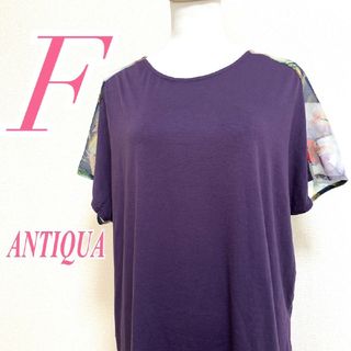 antiqua - アンティカ　半袖カットソー　F　パープル　花柄　切替　ポリ　レーヨン