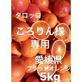 愛媛県産　ブラッドオレンジ　タロッコ　柑橘　5kg(フルーツ)