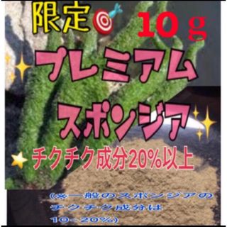 ⭐️プレミアムスポンジア⭐️10g/ 4回分⭐️剥離あり⭐️ロングセラー人気商品(その他)