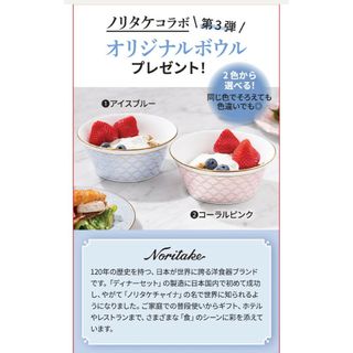 ノリタケ(Noritake)のドクターシーラボ ノリタケ オリジナルボウル ２個セット(食器)