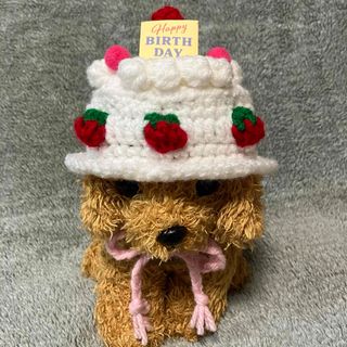 小型犬用帽子♡苺のケーキ♡お誕生日ケーキ(ペット服/アクセサリー)