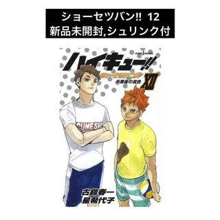 ハイキュー 小説 ショーセツバン 12