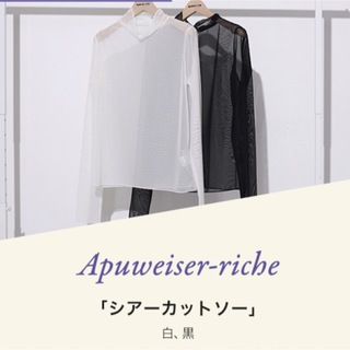 アプワイザーリッシェ(Apuweiser-riche)のApuweiser-riche シアーカットソー(カットソー(長袖/七分))