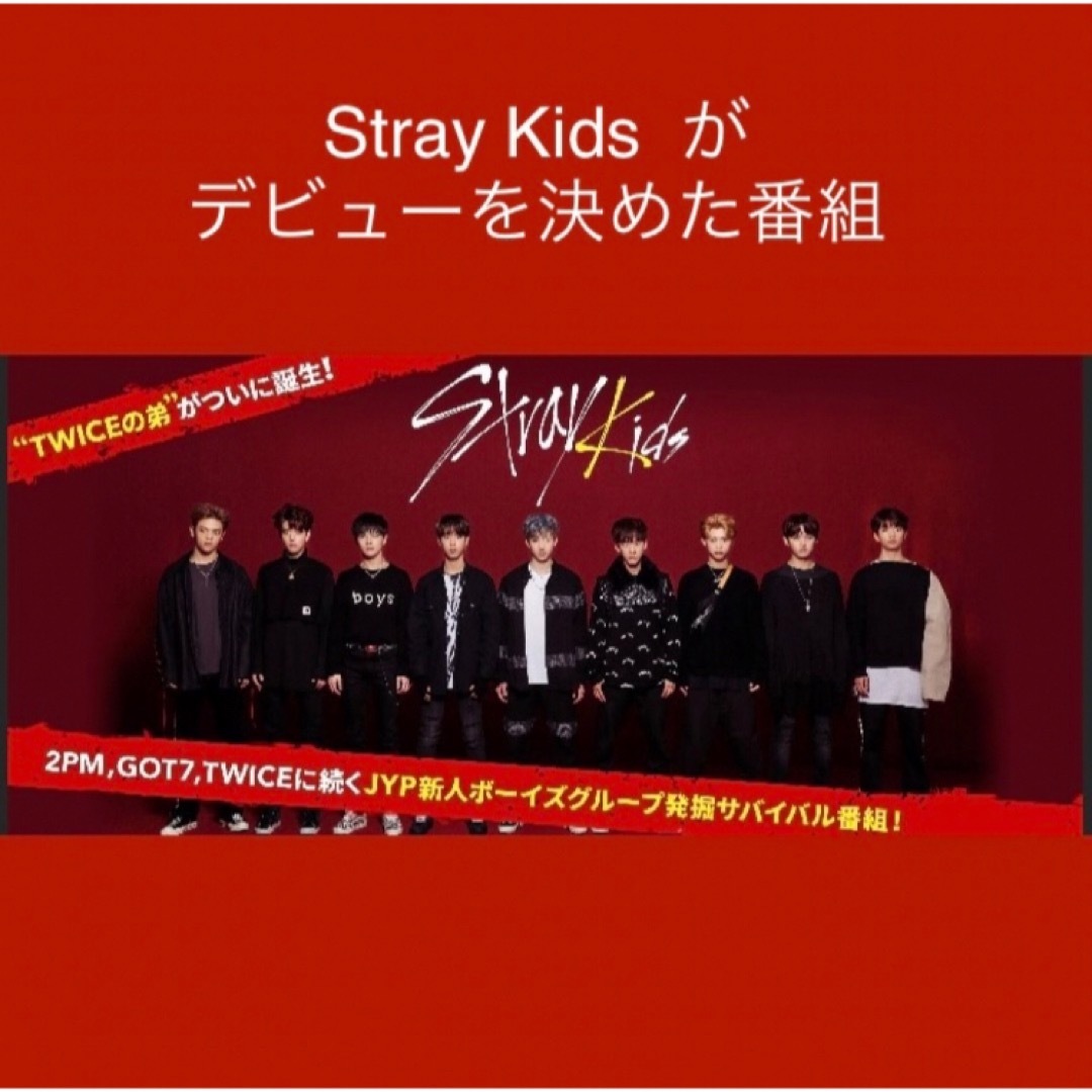 Stray Kids(ストレイキッズ)のStray Kids  デビューオーディション2017 エンタメ/ホビーのタレントグッズ(アイドルグッズ)の商品写真