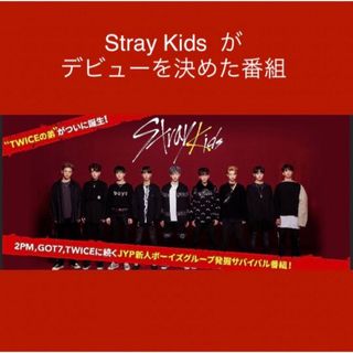 ストレイキッズ(Stray Kids)のStray Kids  デビューオーディション2017(アイドルグッズ)