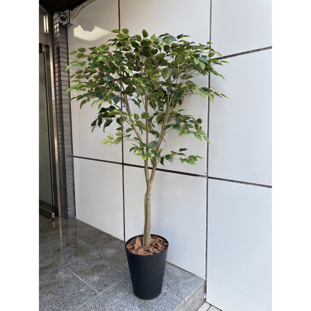光触媒 人工観葉植物 ウォールグリーン フェイクグリーン 光触媒 人工観葉植物 ウォールグリーン フェイクグリーン