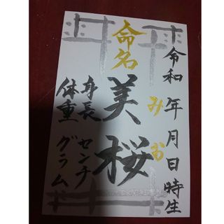 ハンドメイド⭐️命名書⭐️ポストカード⭐️✍️(その他)