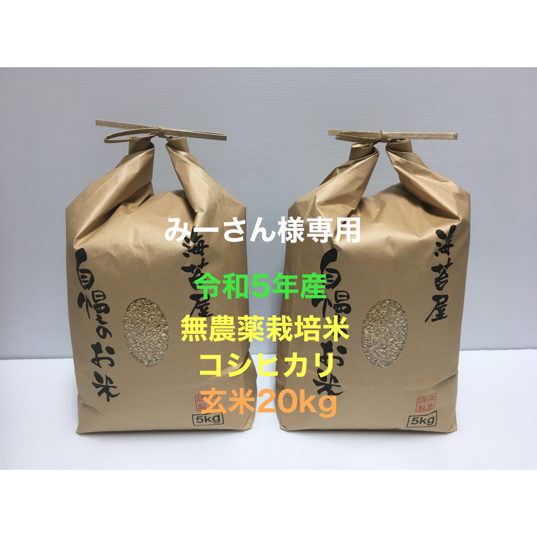 みーさん様専用 無農薬コシヒカリ玄米20kg(5kg×4)令和5年産 食品/飲料/酒の食品(米/穀物)の商品写真