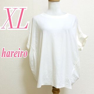 hareiro 晴れ色　半袖カットソー　XL　ホワイト　カジュアル　ドルマン(カットソー(半袖/袖なし))