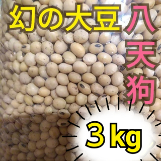 自然栽培　幻の大豆『八天狗』3kg 熊本県産(野菜)