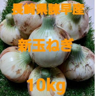 長崎県諫早産新玉ねぎ10kg(野菜)