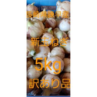 長崎県諫早産新玉ねぎ5kg訳あり品(野菜)