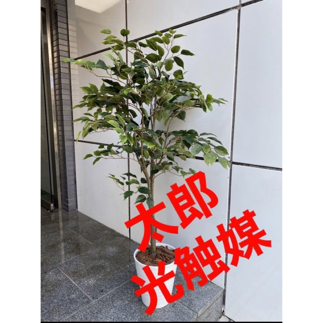 光触媒 人工観葉植物 ウォールグリーン フェイクグリーン 光触媒 人工観葉植物 ウォールグリーン フェイクグリーン