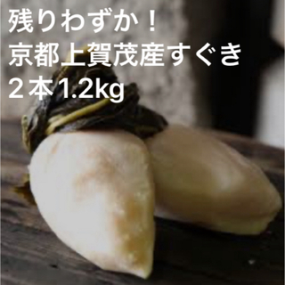 残りわずか！京都上賀茂産すぐき大サイズ2本1.2kgご家庭用(漬物)