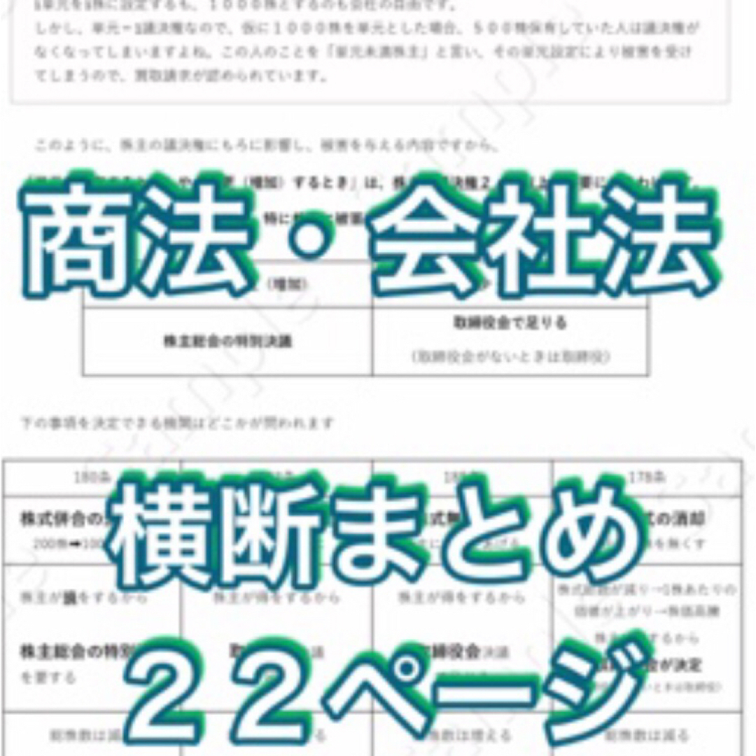 2024行政書士独学サポートchの横断まとめ集と記述論点集の２点セットです その他のその他(その他)の商品写真