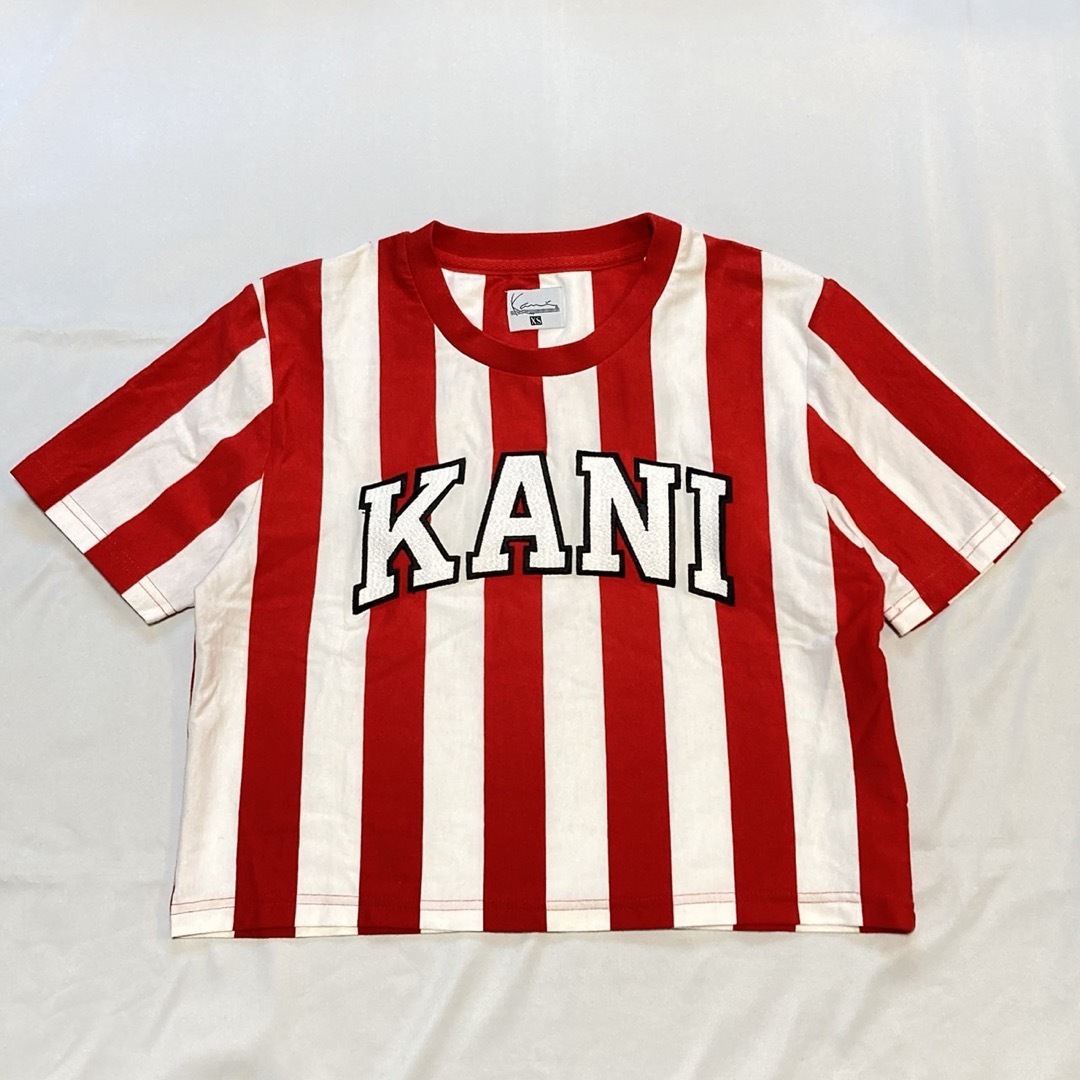 Karl Kani(カールカナイ)の人気！カールカナイ新品ストライプ柄TシャツKARL KANIクロップ丈 レディースのトップス(Tシャツ(半袖/袖なし))の商品写真